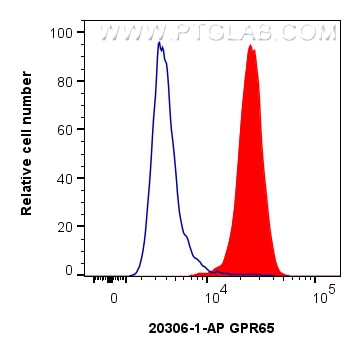 Flow cytometry (FC) experiment of RAW 264.7 cells using GPR65 Polyclonal antibody (20306-1-AP)
