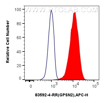 Flow cytometry (FC) experiment of U-251 cells using GPSN2 Recombinant antibody (83592-4-RR)