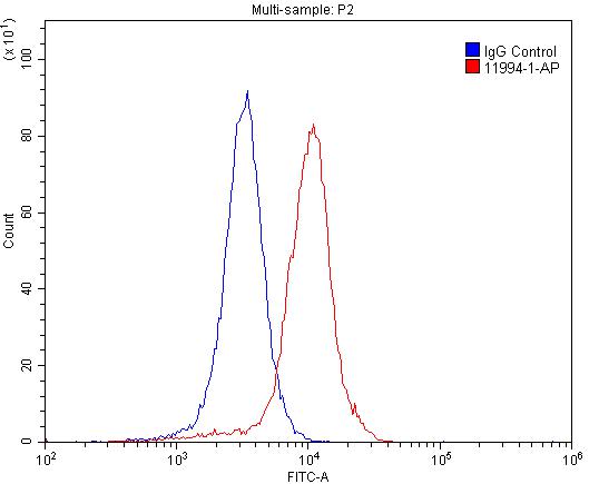Flow cytometry (FC) experiment of SH-SY5Y cells using Glutamate receptor 2 Polyclonal antibody (11994-1-AP)