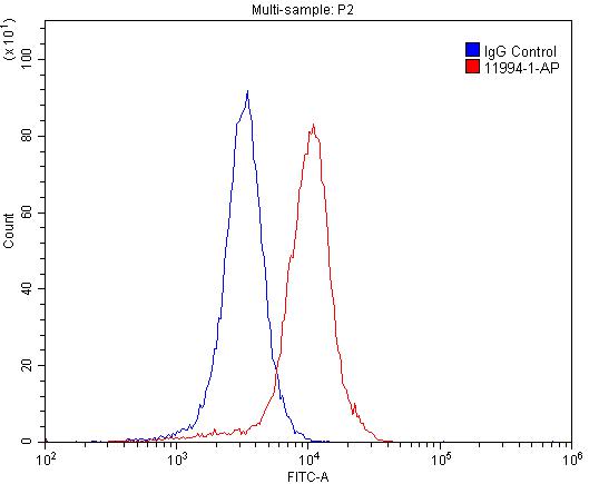 FC experiment of SH-SY5Y using 11994-1-AP