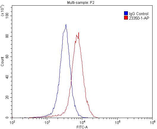 FC experiment of SH-SY5Y using 23350-1-AP