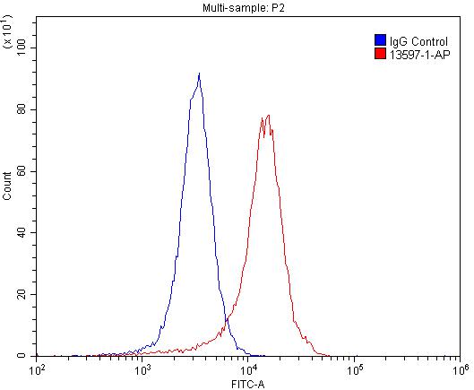 FC experiment of SH-SY5Y using 13597-1-AP