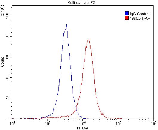 Flow cytometry (FC) experiment of SH-SY5Y cells using NMDAR2A/GRIN2A Polyclonal antibody (19953-1-AP)