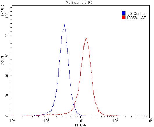 FC experiment of SH-SY5Y using 19953-1-AP