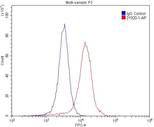 Flow cytometry (FC) experiment of SH-SY5Y cells using NMDAR2B/GRIN2B Polyclonal antibody (21920-1-AP)