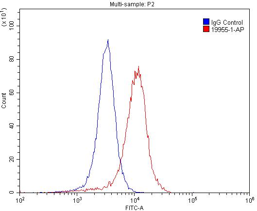 Flow cytometry (FC) experiment of SH-SY5Y cells using mGluR1 Polyclonal antibody (19955-1-AP)