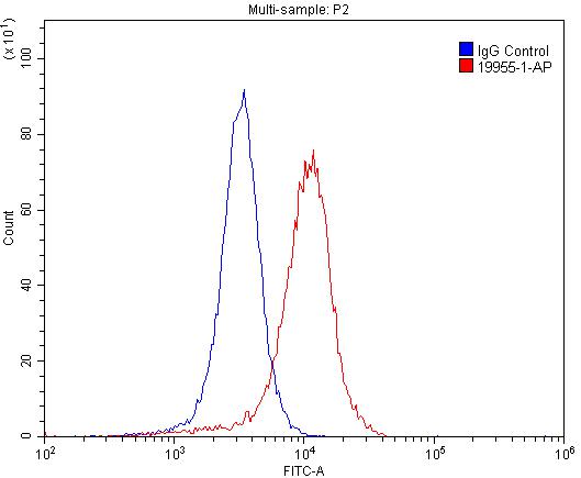 FC experiment of SH-SY5Y using 19955-1-AP