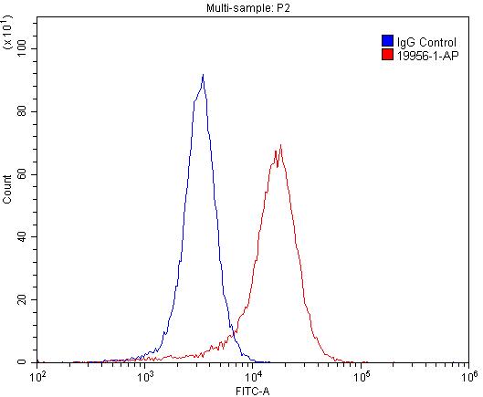 Flow cytometry (FC) experiment of SH-SY5Y cells using mGluR2 Polyclonal antibody (19956-1-AP)