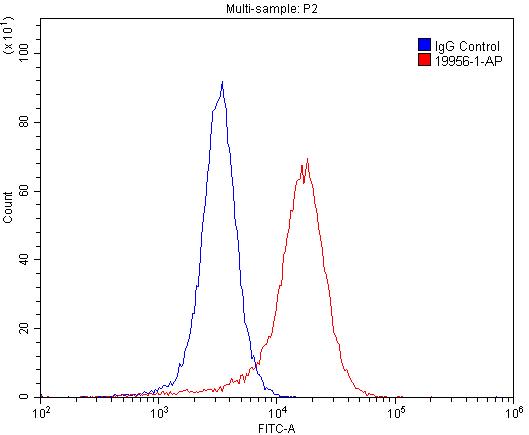 FC experiment of SH-SY5Y using 19956-1-AP