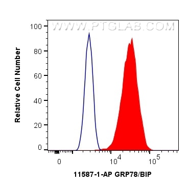Flow cytometry (FC) experiment of HeLa cells using GRP78/BIP Polyclonal antibody (11587-1-AP)