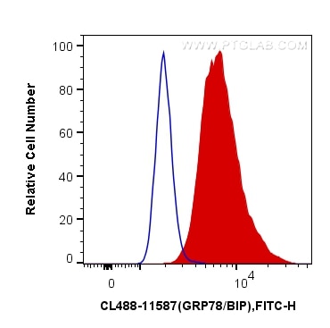 Flow cytometry (FC) experiment of HeLa cells using CoraLite® Plus 488-conjugated GRP78/BIP Polyclonal (CL488-11587)