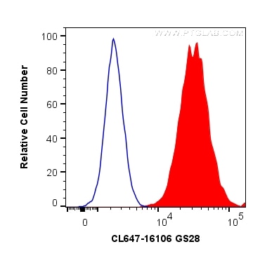 Flow cytometry (FC) experiment of HeLa cells using CoraLite® Plus 647-conjugated GS28 Polyclonal anti (CL647-16106)