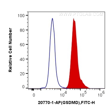 Flow cytometry (FC) experiment of Jurkat cells using GSDMD  Polyclonal antibody (20770-1-AP)