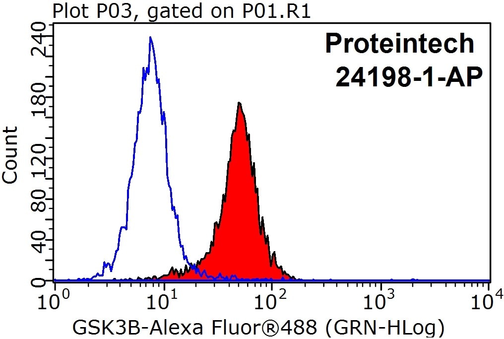 Flow cytometry (FC) experiment of HeLa cells using GSK3B Polyclonal antibody (24198-1-AP)