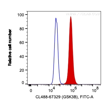 Flow cytometry (FC) experiment of HeLa cells using CoraLite® Plus 488-conjugated GSK3B Monoclonal ant (CL488-67329)