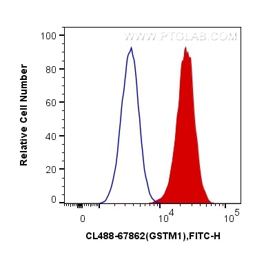 Flow cytometry (FC) experiment of HeLa cells using CoraLite® Plus 488-conjugated GSTM1 Monoclonal ant (CL488-67862)