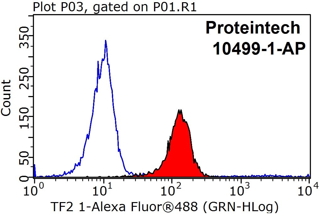 Flow cytometry (FC) experiment of HeLa cells using TFII I Polyclonal antibody (10499-1-AP)