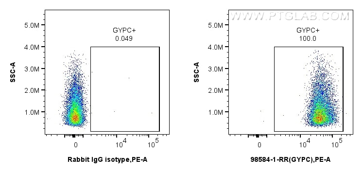 Flow cytometry (FC) experiment of Human peripheral blood erythrocytes using Anti-Human GYPC Rabbit Recombinant Antibody (98584-1-RR)