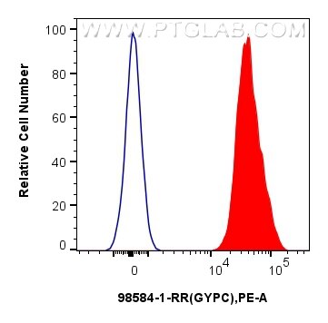 Flow cytometry (FC) experiment of Human peripheral blood erythrocytes using Anti-Human GYPC Rabbit Recombinant Antibody (98584-1-RR)