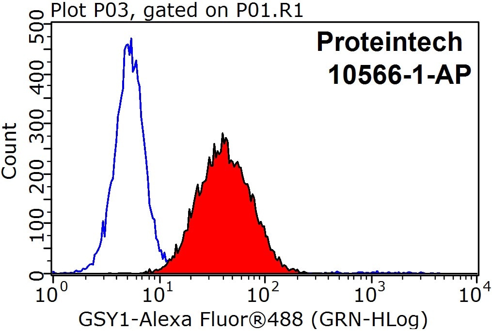 Flow cytometry (FC) experiment of HepG2 cells using GYS1 Polyclonal antibody (10566-1-AP)