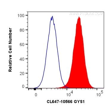 Flow cytometry (FC) experiment of HepG2 cells using CoraLite® Plus 647-conjugated GYS1 Polyclonal anti (CL647-10566)