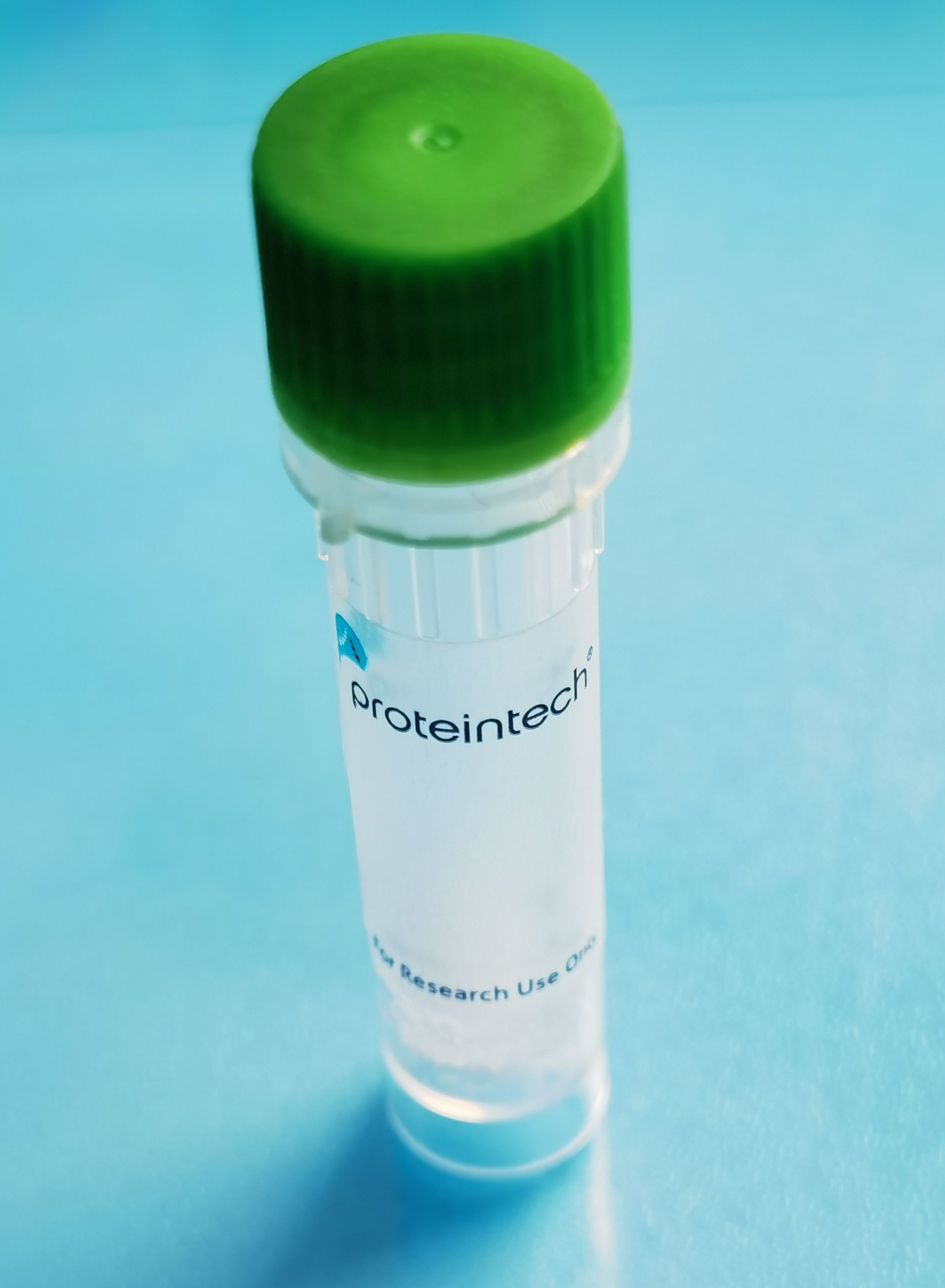 GZMB fusion protein Ag31094 SDS-PAGE GZMB fusion protein Ag31094 SDS-PAGE