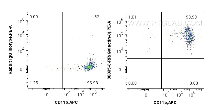 1x10^6 Balb/c mouse peritoneal macrophages were surface stained with 0.25 ug Anti-Mouse Galectin-3 Rabbit RecAb (98335-3-RR, Clone:242453H5) or Rabbit IgG Isotype Control RecAb (98136-1-RR, Clone: 240953C9) and PE-Conjugated Goat Anti-Rabbit IgG(H+L). Cells were then stained with APC Anti-Mouse CD11b. Cells were not fixed. This data was developed using the same antibody clone with 98335-3-PBS in a different storage buffer formulation. Flow cytometry (FC) experiment of Balb/c mouse peritoneal macrophages using Anti-Mouse Galectin-3 Rabbit Recombinant Antibody (98335-3-RR)