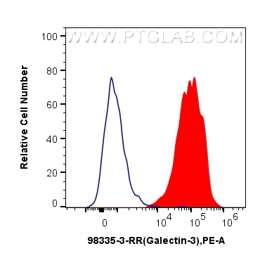 1x10^6 Balb/c mouse peritoneal macrophages were surface stained with 0.25 ug Anti-Mouse Galectin-3 Rabbit RecAb (98335-3-RR, Clone:242453H5)(red) or Rabbit IgG Isotype Control RecAb (98136-1-RR, Clone: 240953C9) (blue) and PE-Conjugated Goat Anti-Rabbit IgG(H+L). Cells were not fixed. This data was developed using the same antibody clone with 98335-3-PBS in a different storage buffer formulation. Flow cytometry (FC) experiment of Balb/c mouse peritoneal macrophages using Anti-Mouse Galectin-3 Rabbit Recombinant Antibody (98335-3-RR)