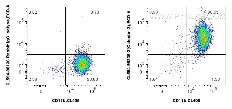 FC experiment of mouse peritoneal macrophages using CL594-98335-3 Flow cytometry (FC) experiment of mouse peritoneal macrophages using CoraLite®594 Anti-Mouse Galectin-3 Rabbit Recombin (CL594-98335-3)