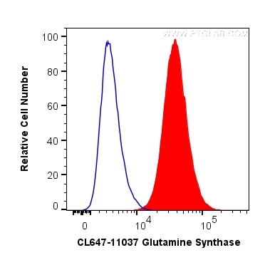 Flow cytometry (FC) experiment of HepG2 cells using CoraLite® Plus 647-conjugated Glutamine Synthetase (CL647-11037)