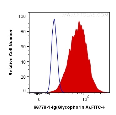 Flow cytometry (FC) experiment of K-562 cells using Glycophorin A  Monoclonal antibody (66778-1-Ig)
