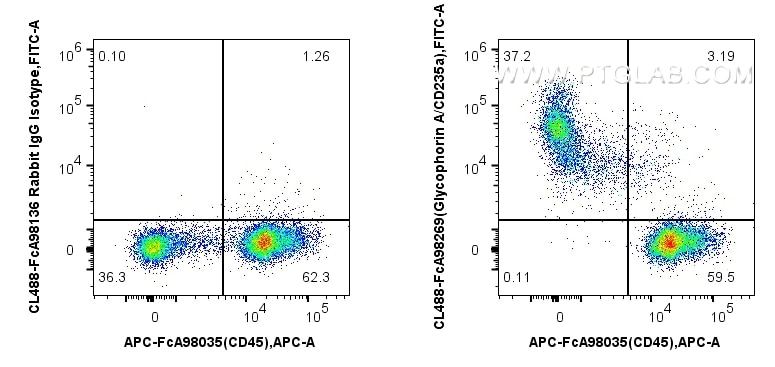 FC experiment of mouse bone marrow using CL488-FcA98269 Flow cytometry (FC) experiment of mouse bone marrow using FcZero-rAb® CoraLite® Plus 488 Anti-Mouse Glycopho (CL488-FcA98269)