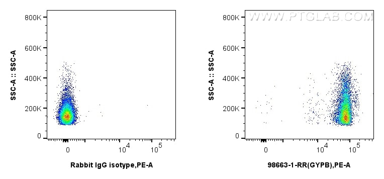 Flow cytometry (FC) experiment of Human peripheral blood erythrocytes using Anti-Human Glycophorin B/CD235b Rabbit Recombinant (98663-1-RR)