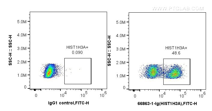 Flow cytometry (FC) experiment of HeLa cells using Phospho-Histone H3 (Ser10) Monoclonal antibody (66863-1-Ig)