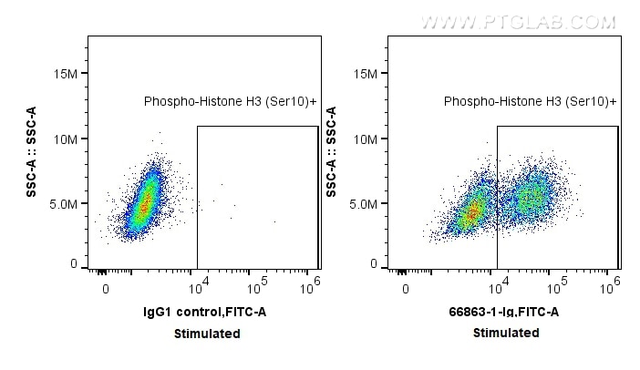 Flow cytometry (FC) experiment of HeLa cells using Phospho-Histone H3 (Ser10) Monoclonal antibody (66863-1-Ig)