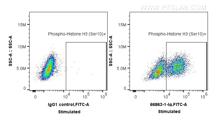 FC experiment of HeLa using 66863-1-Ig