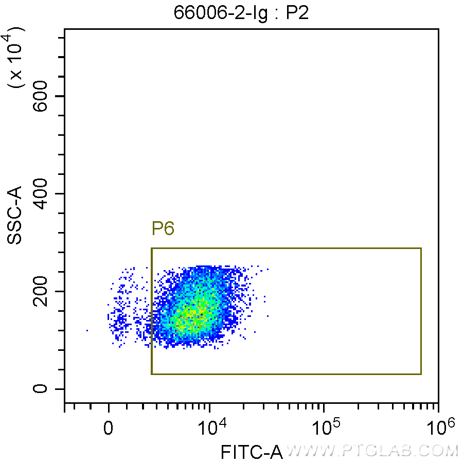 FC experiment of Transfected HEK-293 using 66006-2-Ig