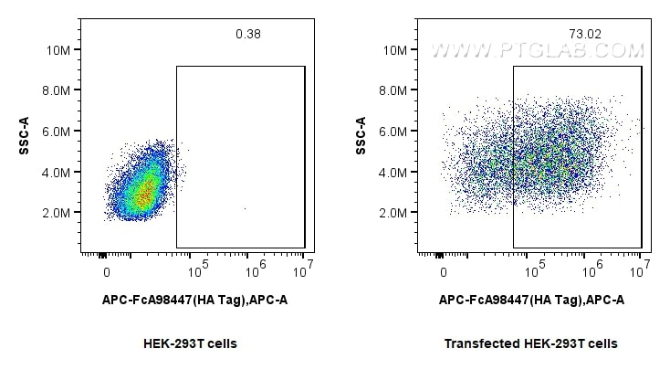 Flow cytometry (FC) experiment of Transfected HEK-293T cells using FcZero-rAb™ APC Anti-  HA Tag Rabbit Recombinant A (APC-FcA98447)