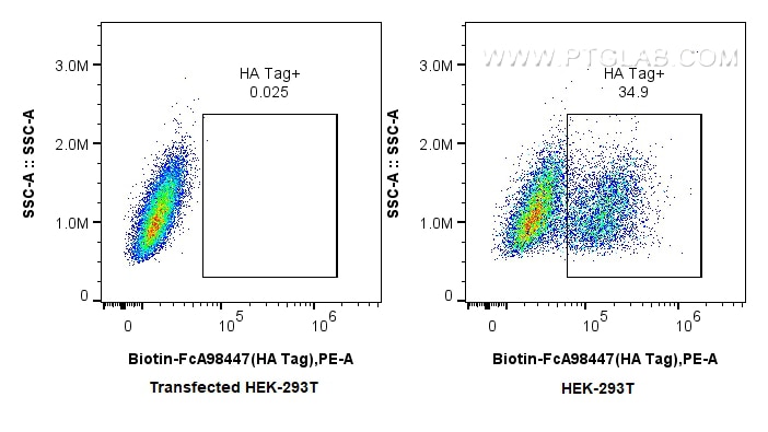 FC experiment of Transfected HEK-293T using Biotin-FcA98447 Flow cytometry (FC) experiment of Transfected HEK-293T cells using FcZero-rAb® Biotin Anti-HA Tag Rabbit Recombinant (Biotin-FcA98447)