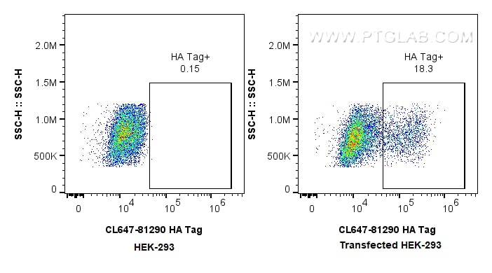Flow cytometry (FC) experiment of Transfected HEK-293 cells using CoraLite®647-conjugated HA Tag Recombinant monoclo (CL647-81290)