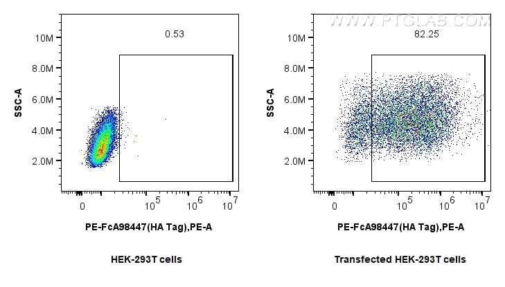Flow cytometry (FC) experiment of Transfected HEK-293T cells using FcZero-rAb™ PE Anti-  HA Tag Rabbit Recombinant An (PE-FcA98447)