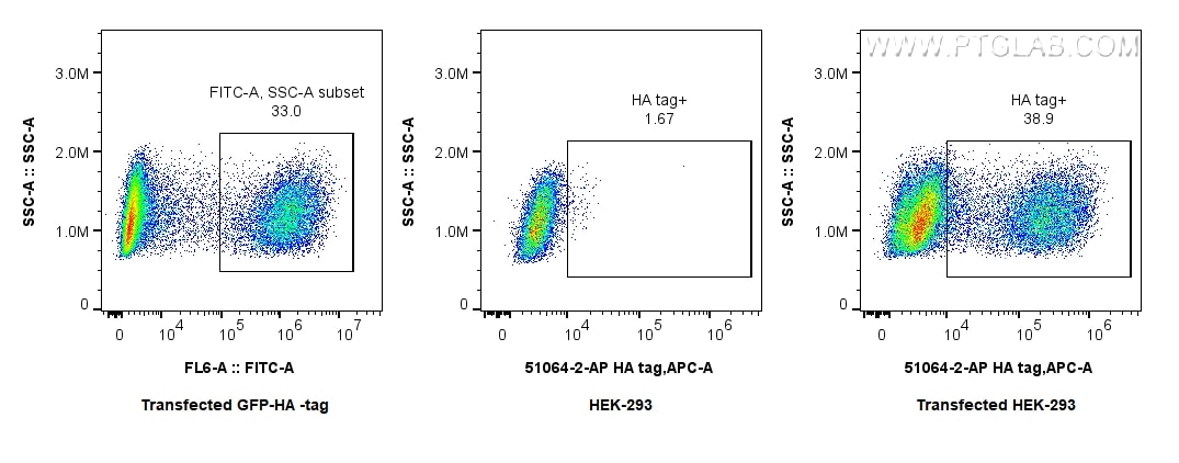 Flow cytometry (FC) experiment of Transfected HEK-293 cells using HA tag Polyclonal antibody (51064-2-AP)