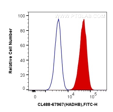 Flow cytometry (FC) experiment of HeLa cells using CoraLite® Plus 488-conjugated HADHB Monoclonal ant (CL488-67967)
