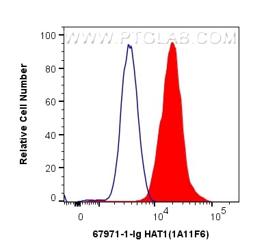 Flow cytometry (FC) experiment of HepG2 cells using HAT1 Monoclonal antibody (67971-1-Ig)