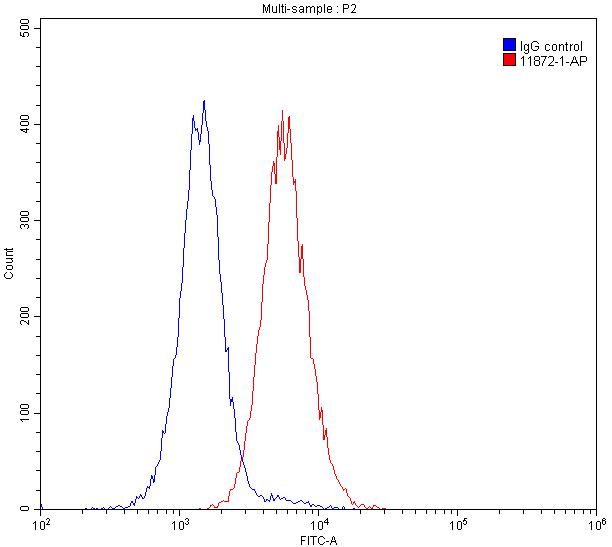 Flow cytometry (FC) experiment of Raji cells using TIM3 Polyclonal antibody (11872-1-AP)