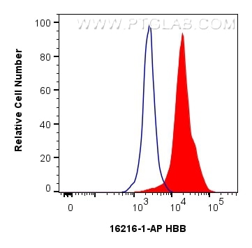 Flow cytometry (FC) experiment of K-562 cells using HBB Polyclonal antibody (16216-1-AP)