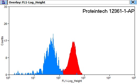 Flow cytometry (FC) experiment of K-562 cells using Hemoglobin Epsilon Polyclonal antibody (12361-1-AP)