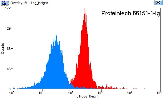 Flow cytometry (FC) experiment of K-562 cells using HBE1-Specific Monoclonal antibody (66151-1-Ig)