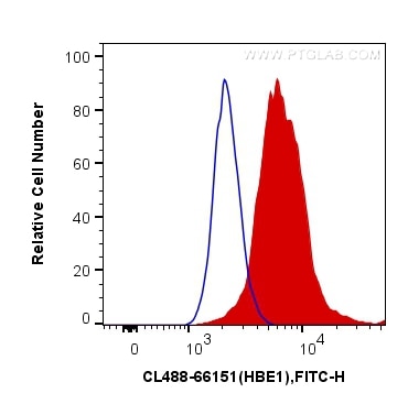 Flow cytometry (FC) experiment of K-562 cells using CoraLite® Plus 488-conjugated HBE1-Specific Monocl (CL488-66151)