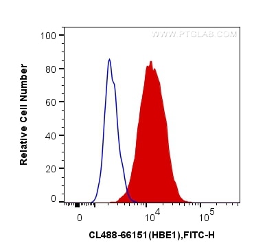 Flow cytometry (FC) experiment of THP-1 cells using CoraLite® Plus 488-conjugated HBE1-Specific Monocl (CL488-66151)